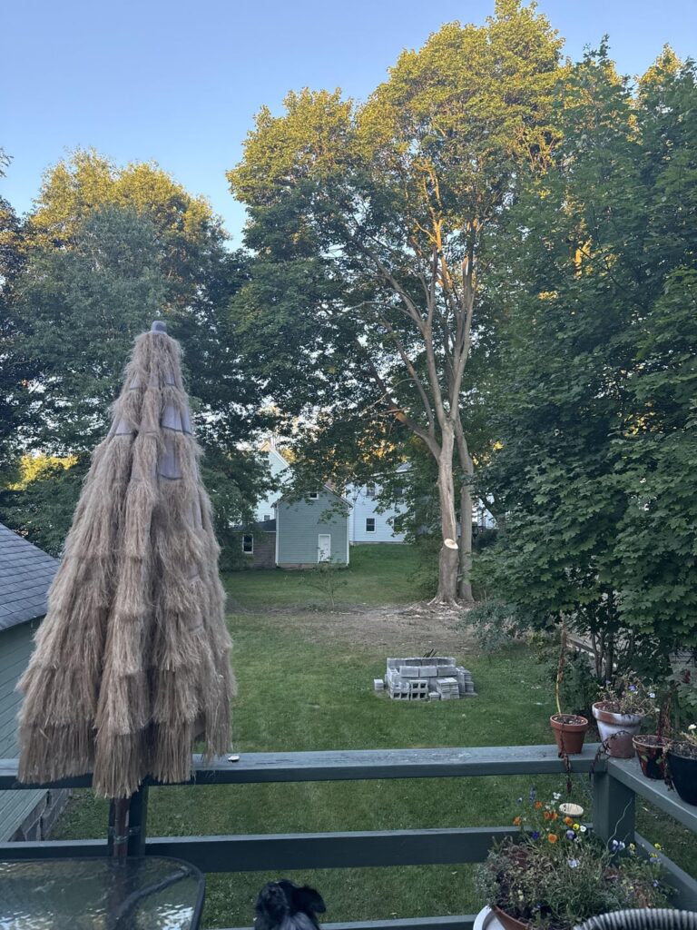 My neighbor hired a company to trim our line tree without talking to us.