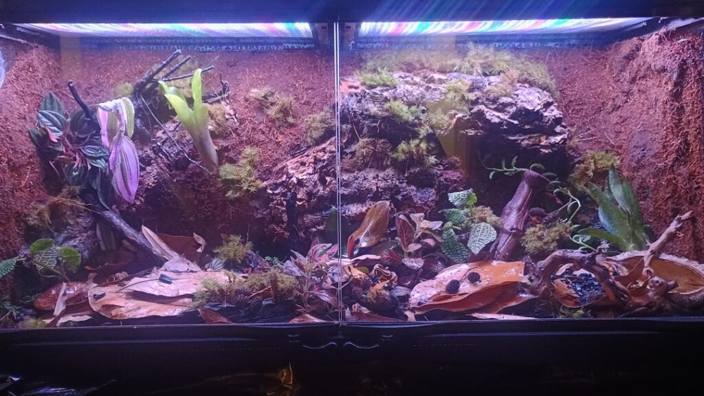 Expanding foam background Expanding foam background