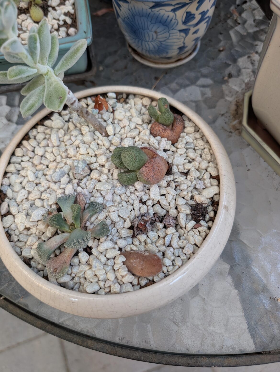 Do they need help?