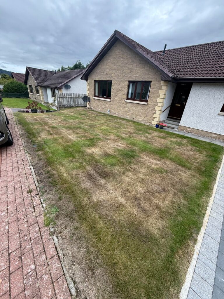 Customers lawn is dying Scotland Customers lawn is dying Scotland