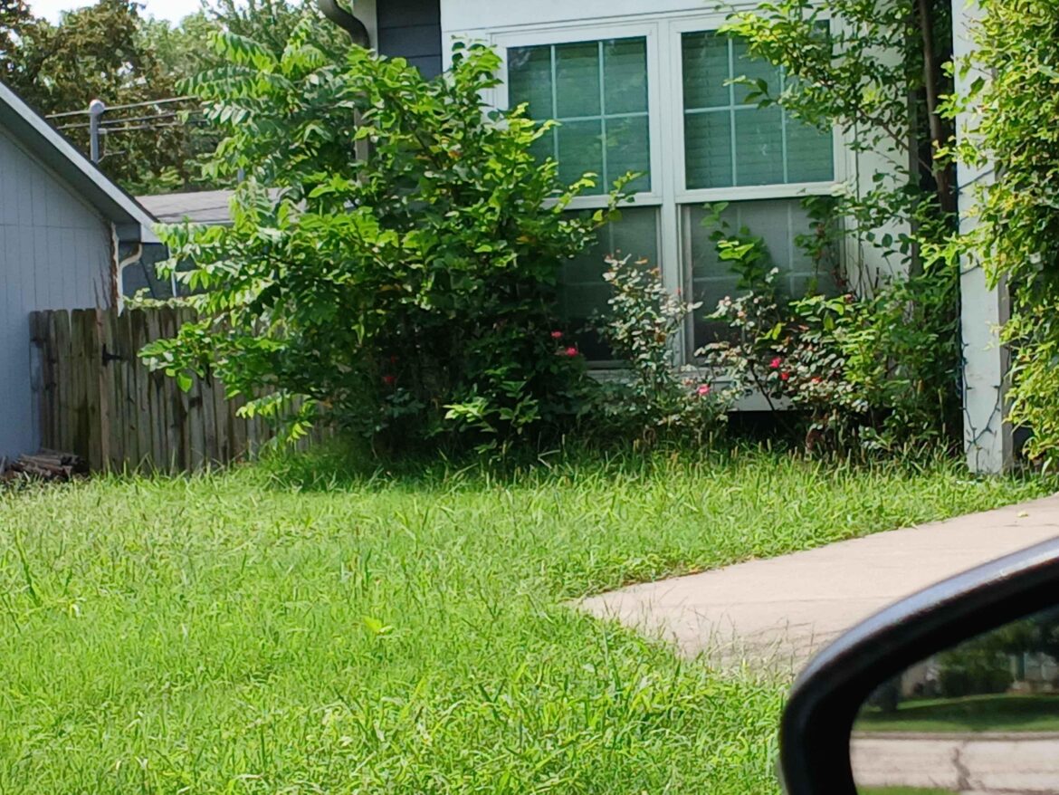 For the 2nd time, I’m having a dispute with my lawncare company about whether they mowed my grass or not. Is it possible that the grass in this photo was mowed 4 days ago? For the 2nd time, I'm having a dispute with my lawncare company about whether they mowed my grass or not. Is it possible that the grass in this photo was mowed 4 days ago?
