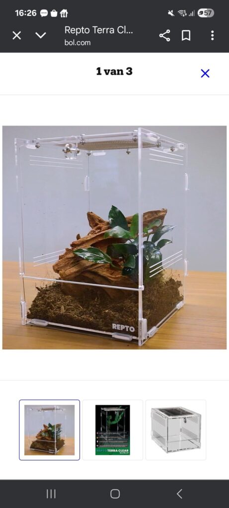 Would this terrarium need to be sealed before use?