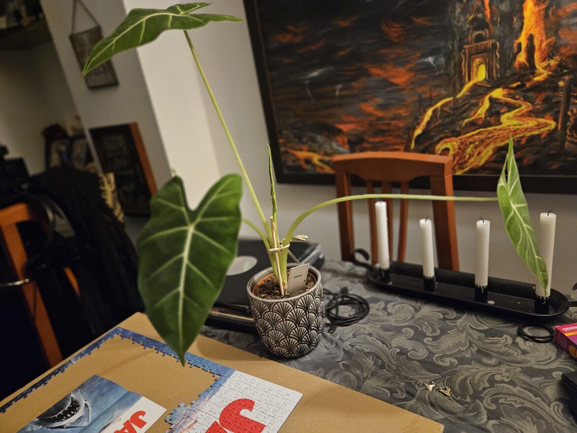 Am I doing OK? How do I not kill this?