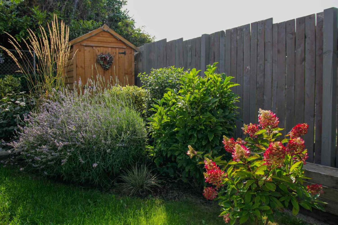 Garden Experts Agree—This Beloved Perennial Should Never Be Planted in the Shade Garden Experts All Agree—This Beloved Perennial Doesn’t Belong in Shade