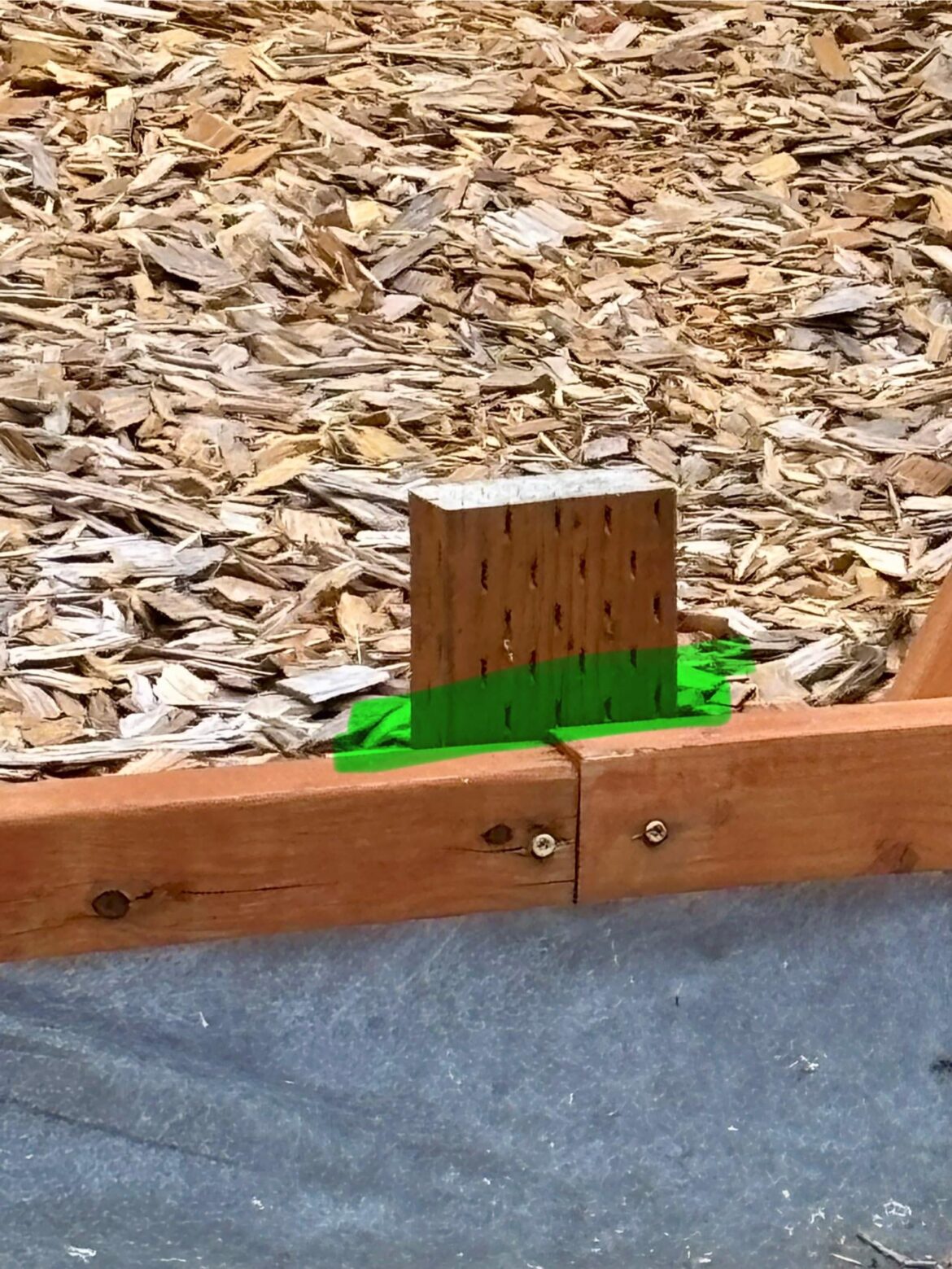 Best tool/way to cut it w/o taking it out?