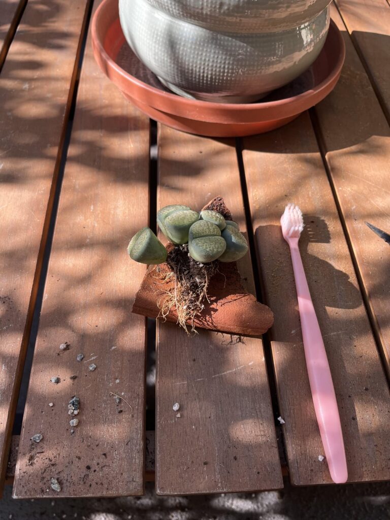 Praise the toothbrush!! Praise the toothbrush!!