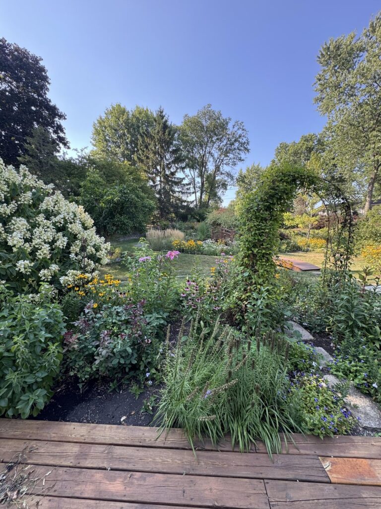 Okay I’ve upset people… here are more garden pics so you don’t come for me Okay I’ve upset people… here are more garden pics so you don’t come for me