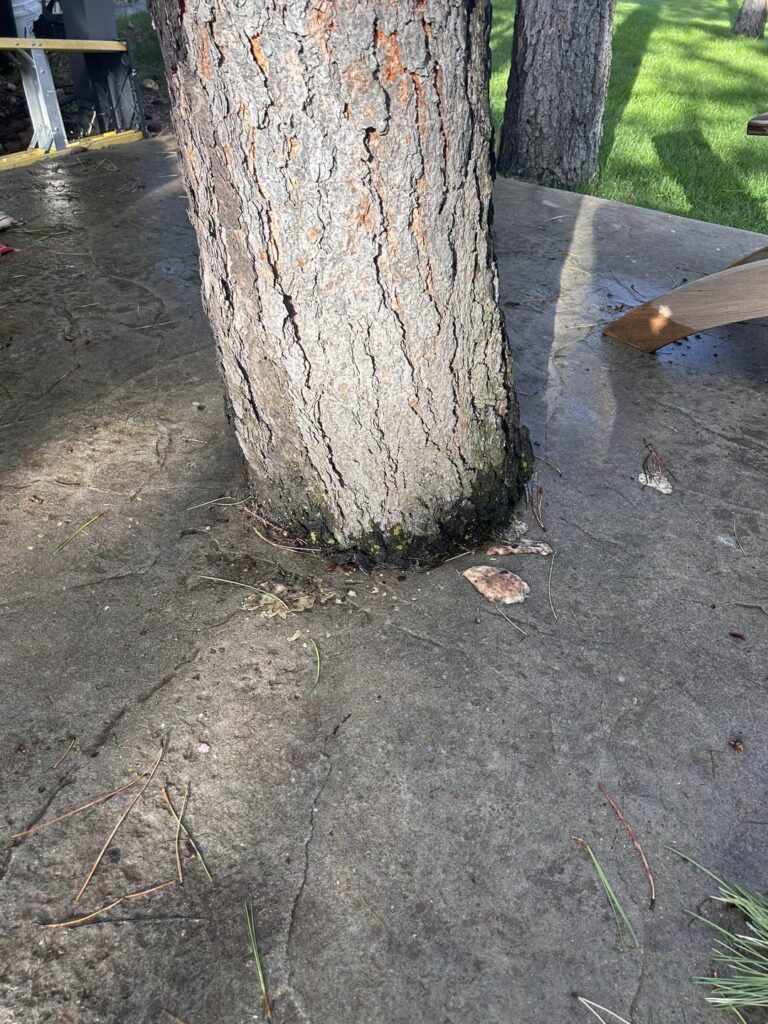 Opening concrete choke