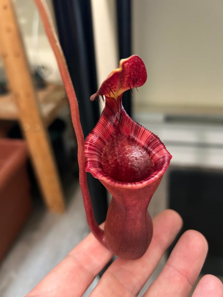 Looking for an ID on this!