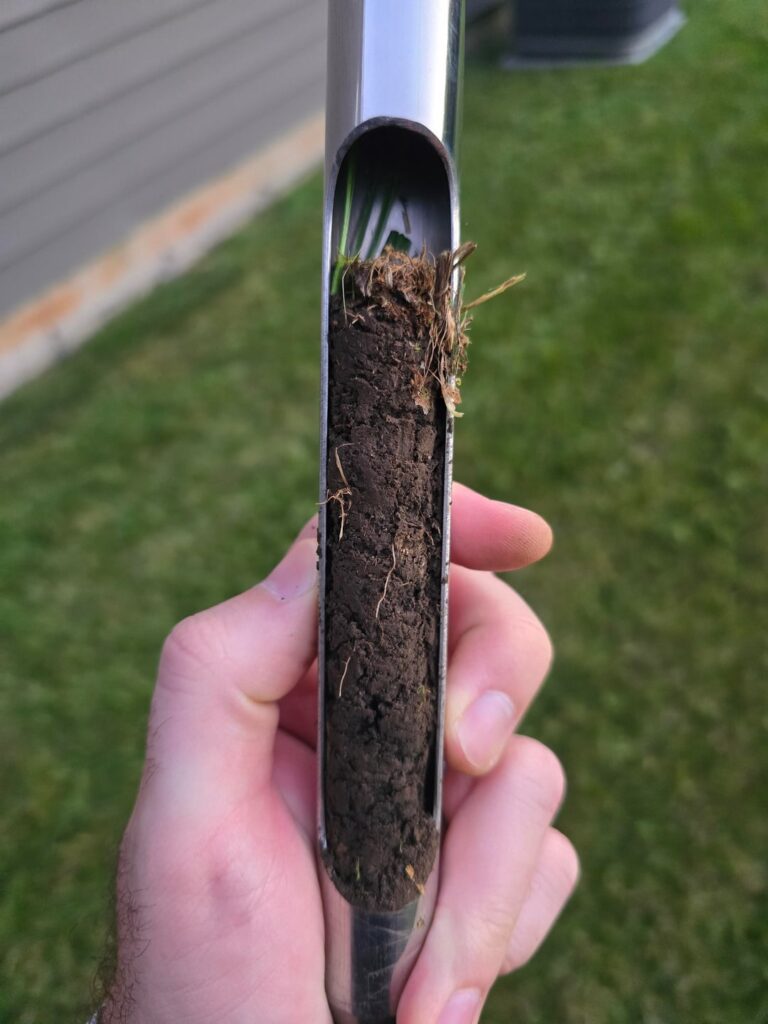 Do I need to dethatch?