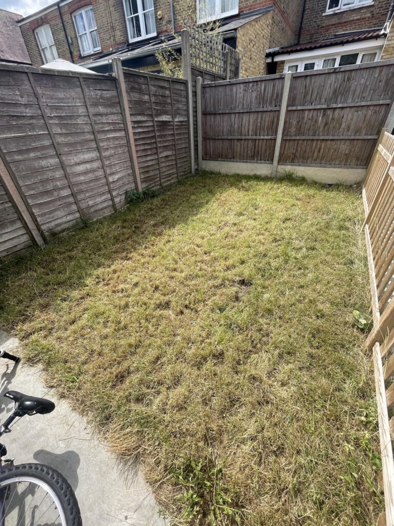 How can i fix my lawn and get it back to being green? UK, London