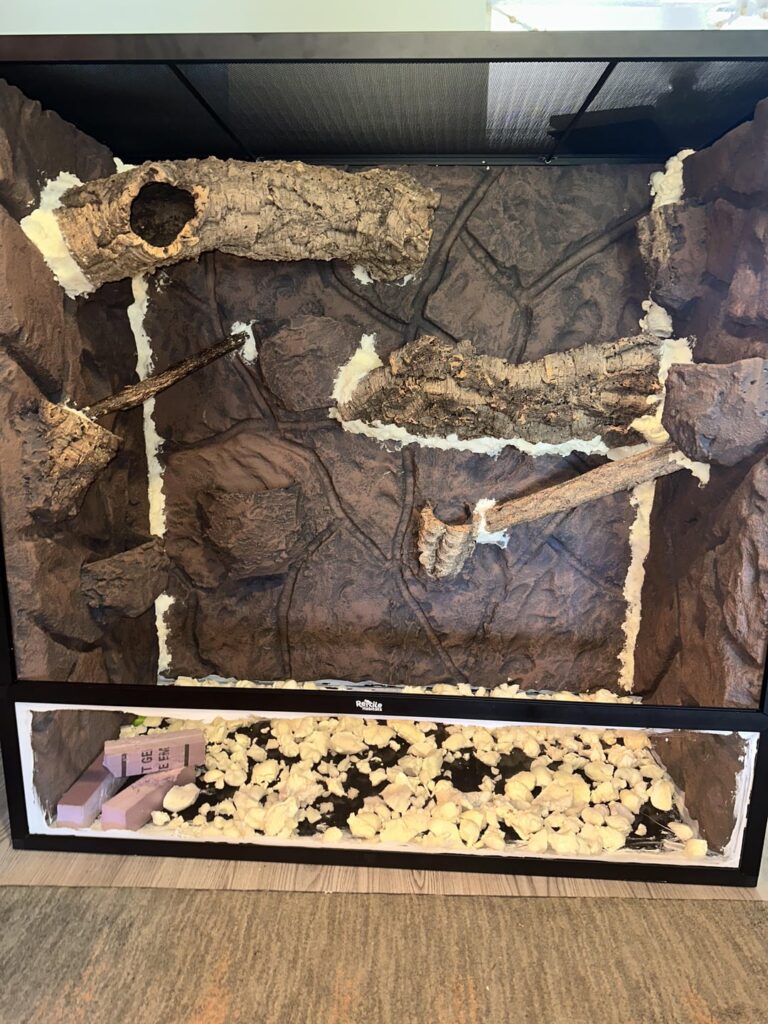 Crested gecko vivarium progress Crested gecko vivarium progress
