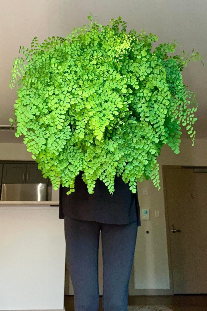 Worship the maiden and be rewarded