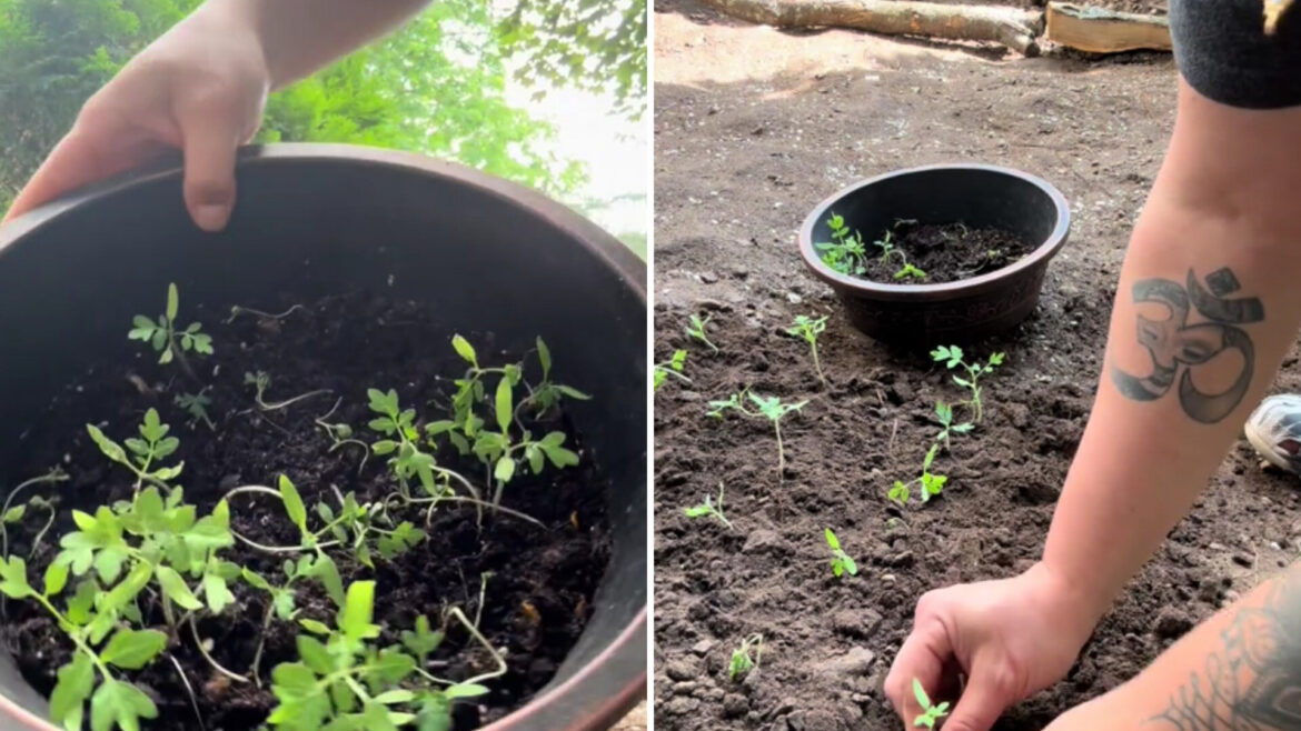 "I'm excited to see the progress!"