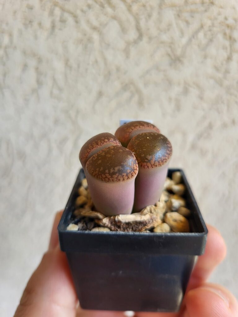 Update from my previous post, and again lost on what to do.
