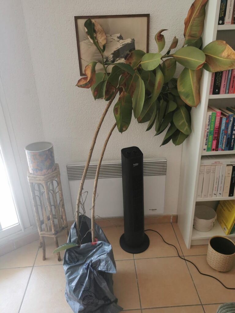 Found her in the trash Found her in the trash