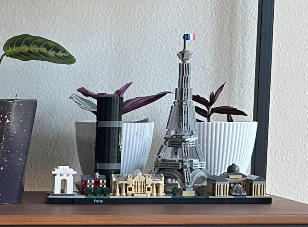 Tradescantia Progress