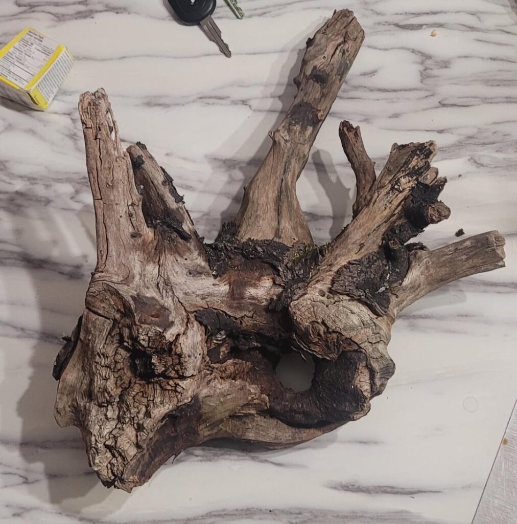 Is this wood safe for frogs?