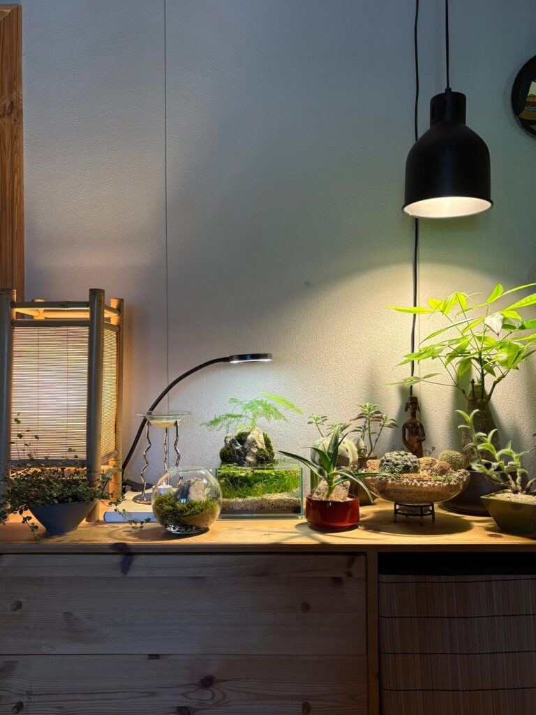 This is my favorite spot in my bedroom. What do you think?