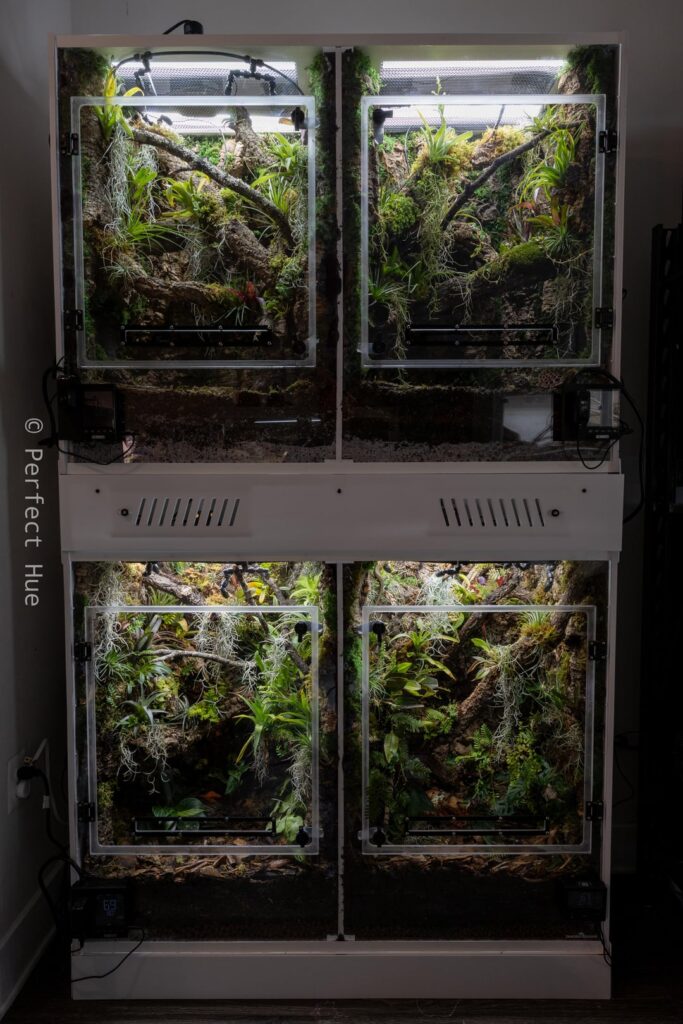 Abronia Vivariums (With Mounted Fans) Abronia Vivariums (With Mounted Fans)