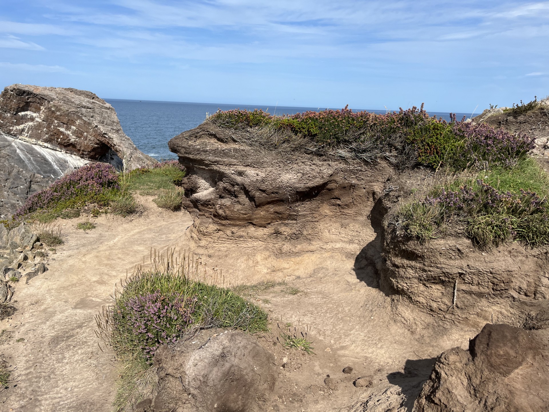 Sandy soil with low-lying vegetation near the ocean.