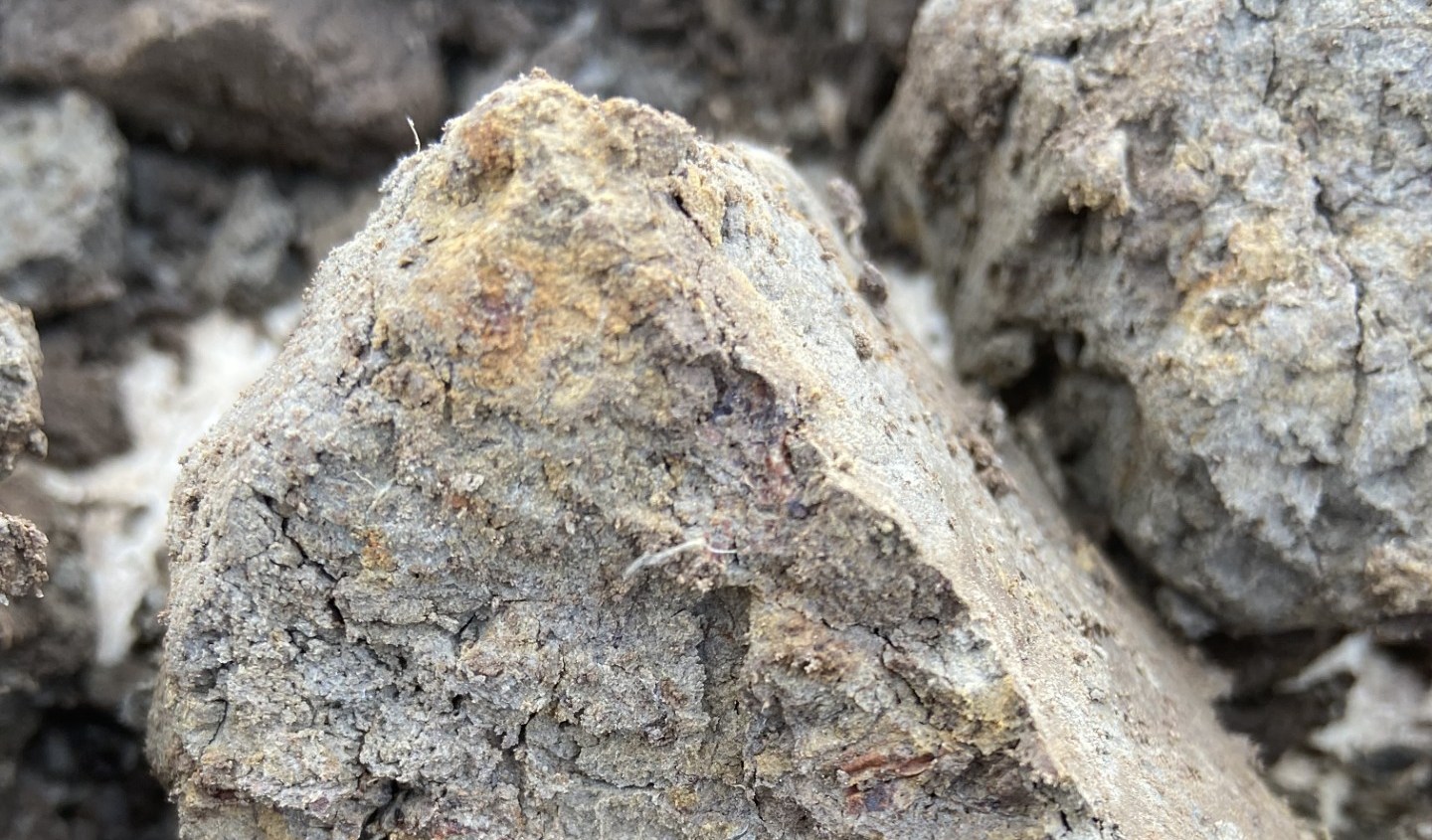 Close-up of clay soil.