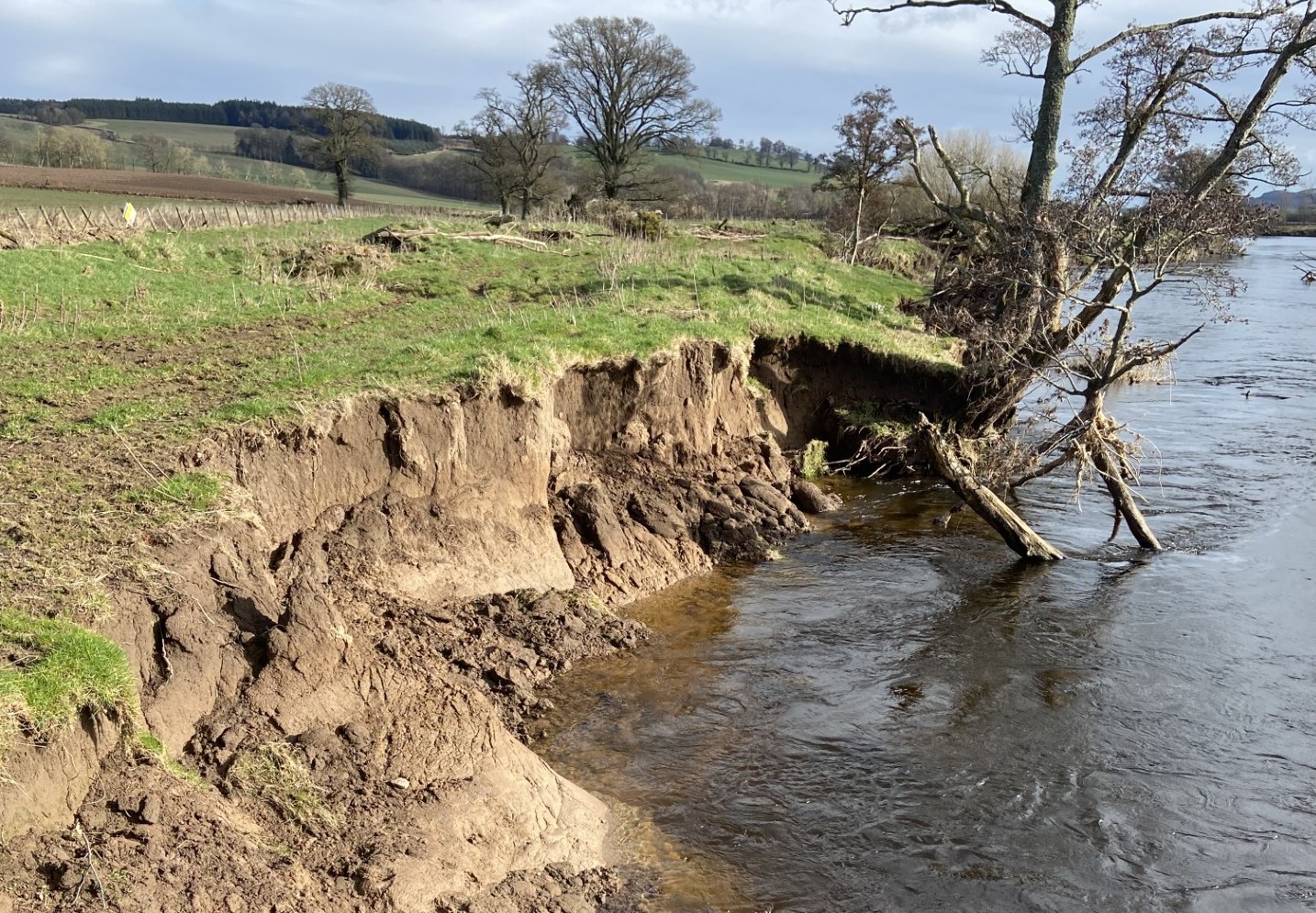 Silty soil eroding into a river.