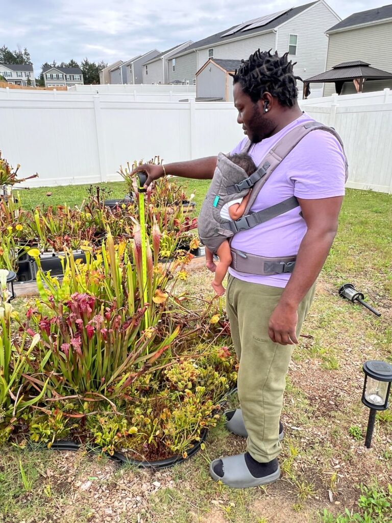 Raising up the next generation of Carnivorous Plant fanatics!!!