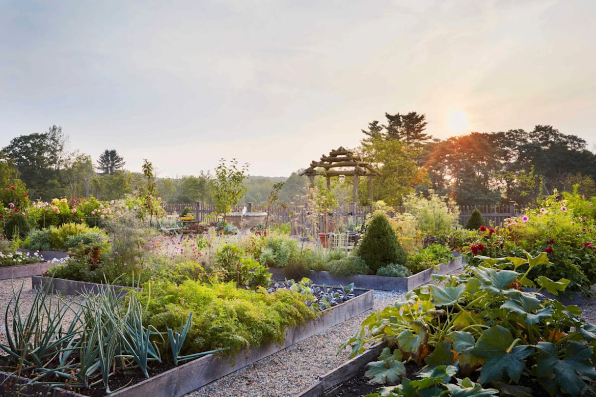 What You Should Plant, Prune, and Plan Now Yahoo lifestyle home