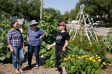 community gardeners