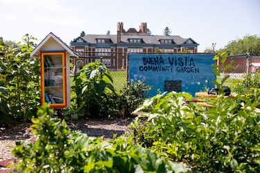Buena Vista community garden