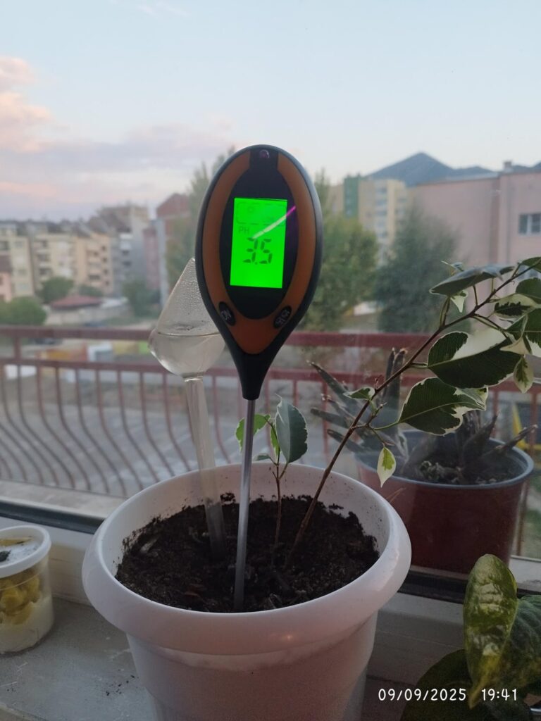 Is PH 3.5 ok for my ficus benjamina?