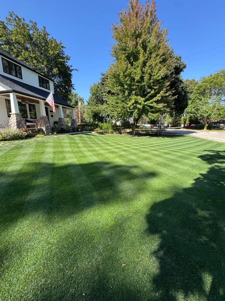 Best it’s ever looked