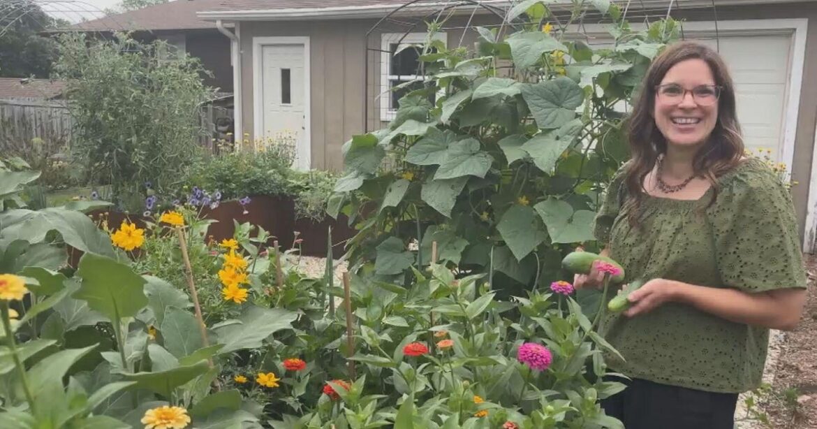 Palatine, Illinois gardening coach Julie Ann helps clients unearth their green thumb Palatine, Illinois gardening coach Julie Ann helps clients unearth their green thumb