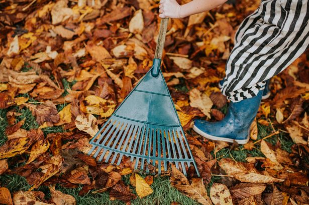 Person raking leaves wearing wellies
