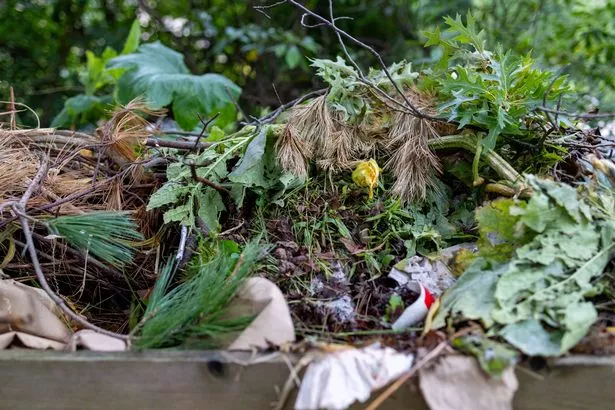 Overflowing compost heap