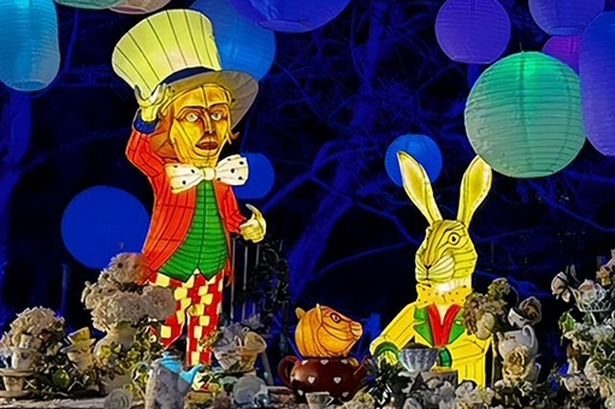Alice in the Hidden Garden winter light adventure is coming to Bents this Christmas