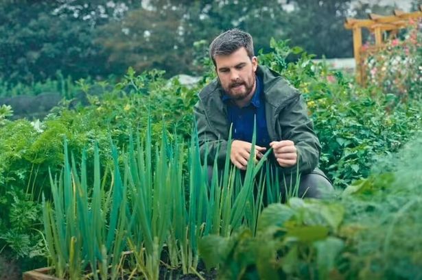 Huw Richards in his vegetable garden 