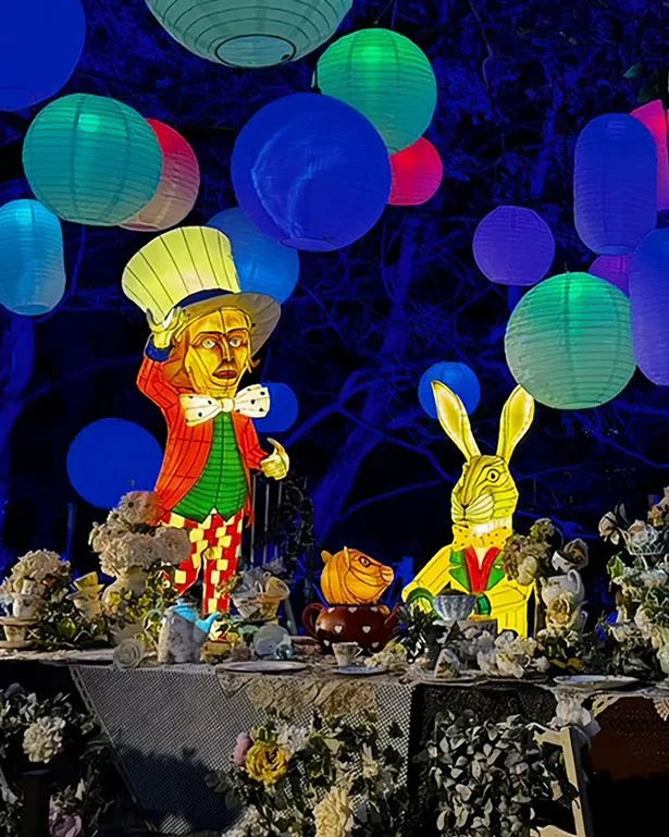 Alice in Wonderland light trail coming to Bents this Christmas