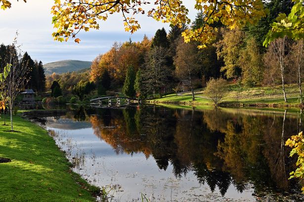 A picture of Japanese garden in Clackmannanshire