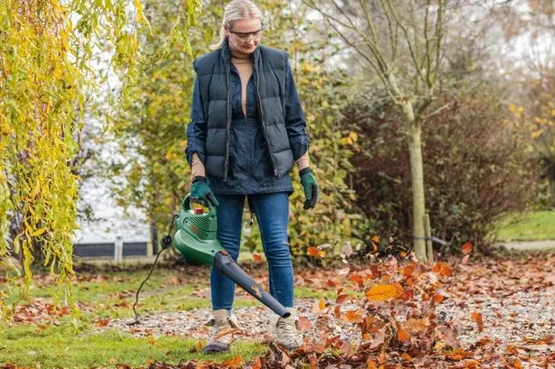 The Bosch Garden Tidy 