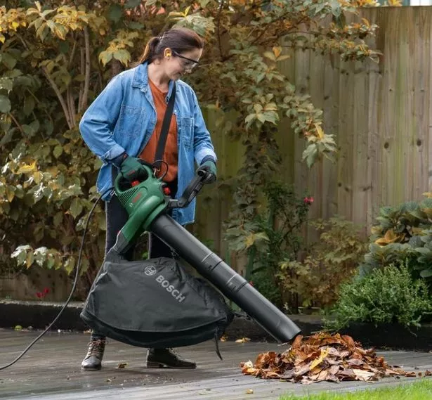 The leaf blower from Bosch 