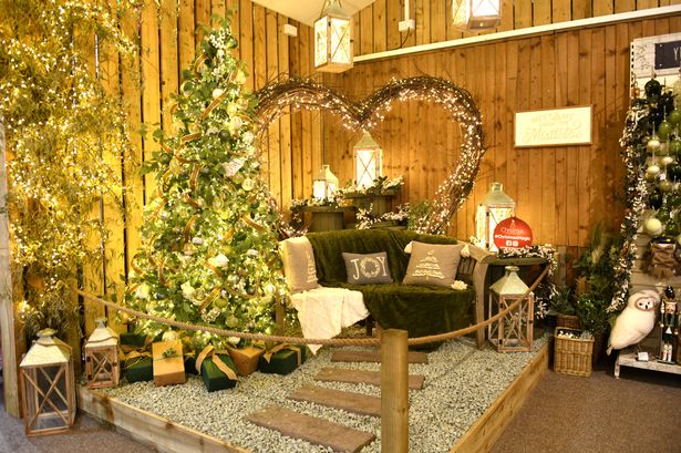 A scene from last Christmas at Brigg Garden Centre
