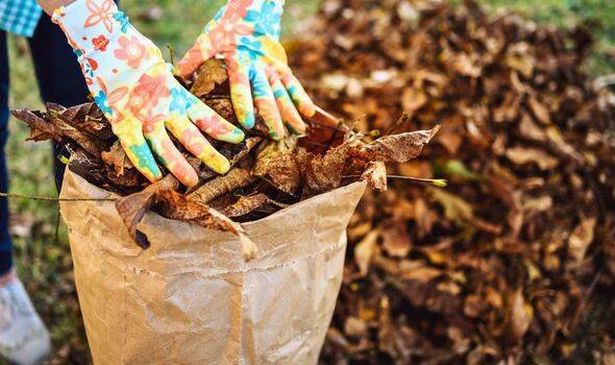 mulching leaves