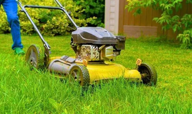 Picture of someone mowing a lawn