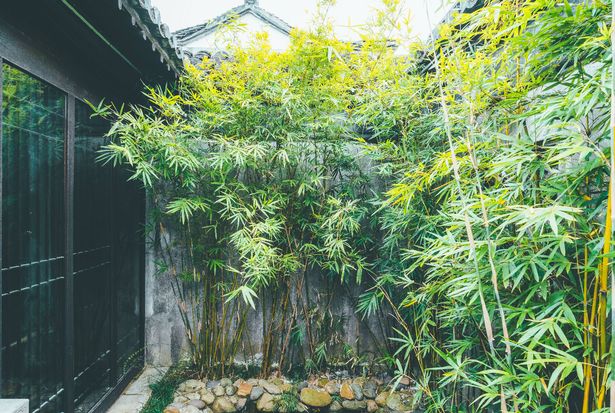 photo taken in dangkou old town in wuxi city, jiangsu province, China