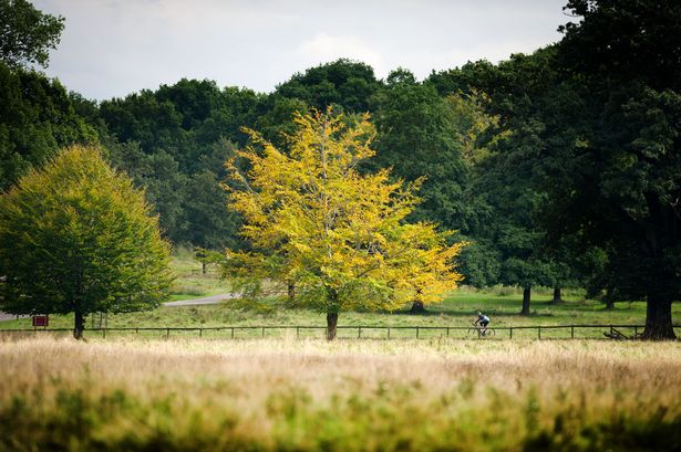 Tatton Park just before Autumn sets in