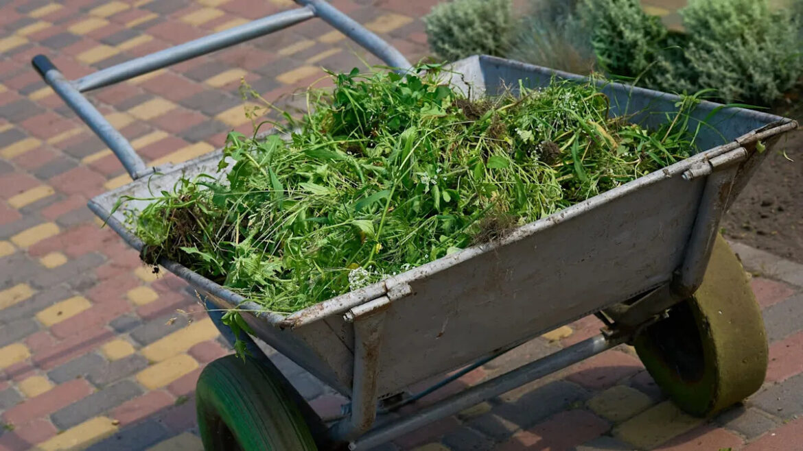 Yahoo lifestyle home