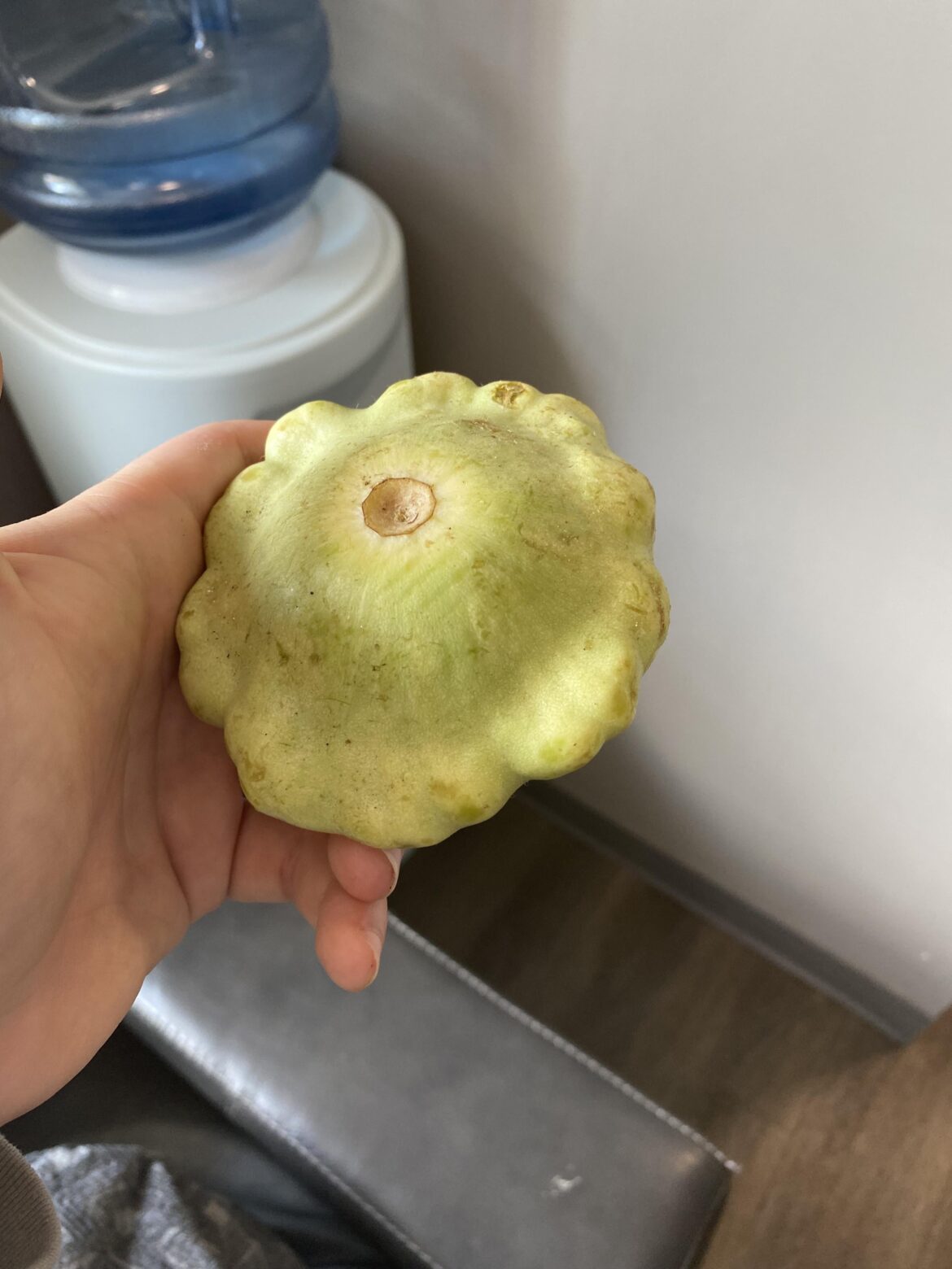Supposedly a gourd don’t know what type of gourd