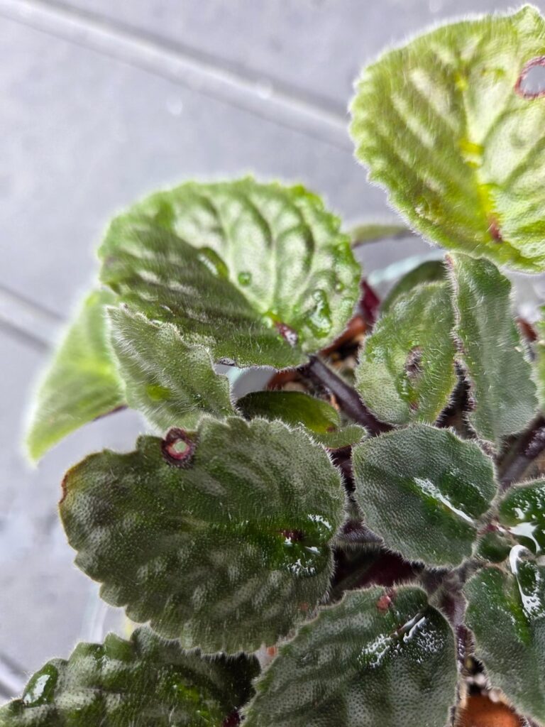 Anyone know what is doing this?